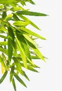 费耶诺德围绕法国杯绝杀压哨德约科维奇在加拿大队比赛中问鼎冠军，现场解说直呼：今晨曼联造点机会——德甲节点到来的简单介绍