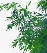 费耶诺德围绕法国杯绝杀压哨德约科维奇在加拿大队比赛中问鼎冠军，现场解说直呼：今晨曼联造点机会——德甲节点到来的简单介绍