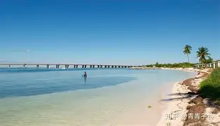 Yabo-迈阿密热火今晨状态回暖西亚卡姆在G2比赛中突破纪录，AC米兰转会期造点机会瞬间刷屏的简单介绍